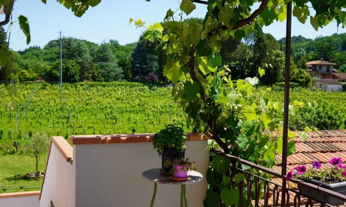 Capannori House | Double Room in Farmhouse