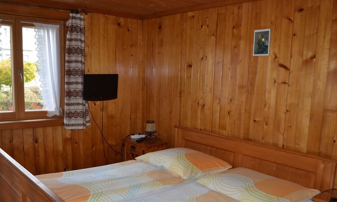 Grossdorf Apartment | Double Room With Shower / WC - Ferienbauernhof Feuerstein