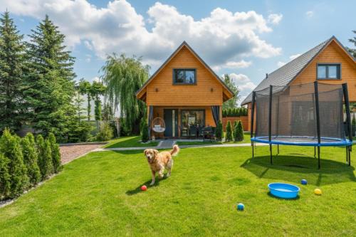 Polanica-Zdroj House | Dream Home Pet-Friendly - Ogród 600m2, Las 10min
