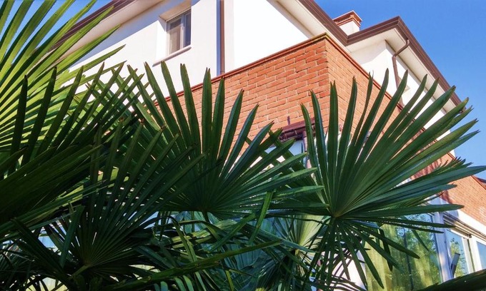 Dese House | Dream