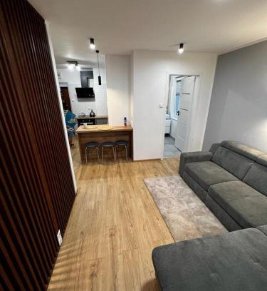 Orneta Apartment | Dziupla