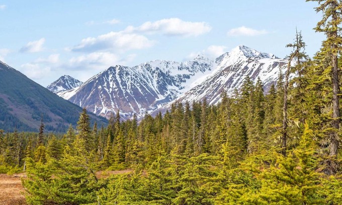 Alyeska Hotel | East Condo #218