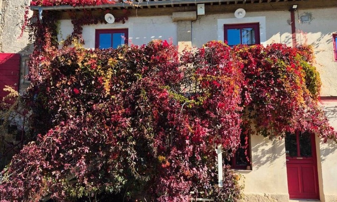 Rognes Apartment | East Studio – Château Barbebelle Wine Estate Provence