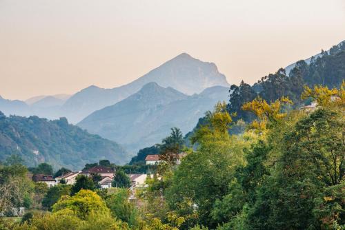 Cangas de Onis Apartment | El Prau de Mito