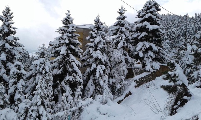 Mesaia Trikala Apartment | Elatos cozy Studio