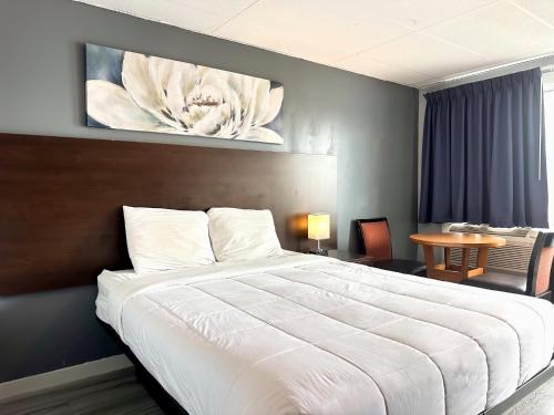Cornwall Hotel | Elect Inn 5