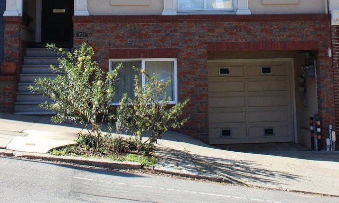 Inner Sunset Apartment | Elegant Apartment located 1/2 block from UCSF Parnassus