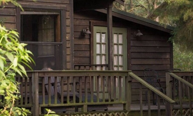 Cat Spring Cabin | Enchanted Cabin nestled in thick woods near Enchanted Lake & Private Hot Tub!