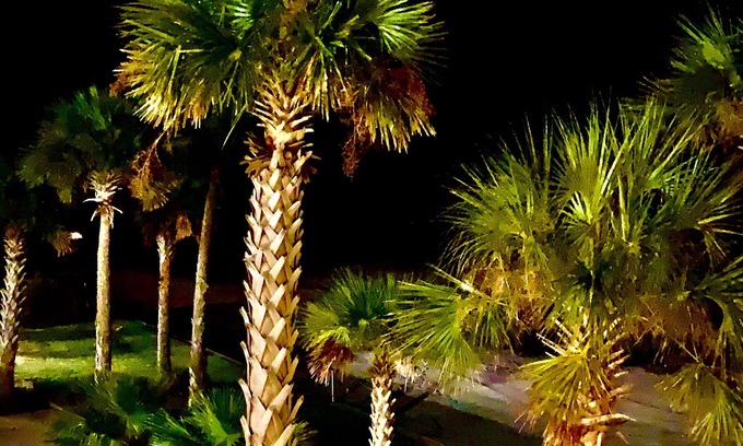 Henderson Point Condo | ENCHANTED!