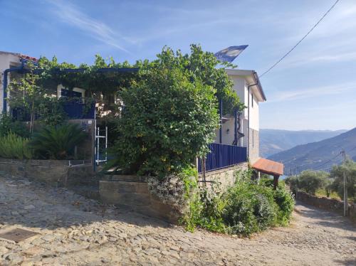 Bomfim House | Encosta do Pinhão