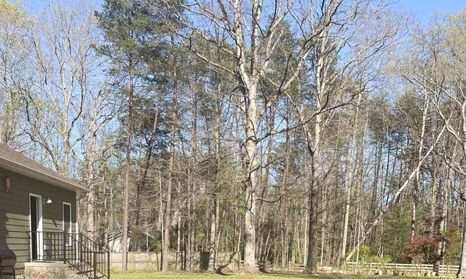 Locust Grove House | Entire Guest Suite Sleeps 4 Near Historic Lake Anna Private Serene Wilderness