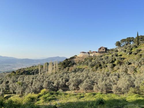 Izmir City Centre Hotel | EPHESUS RETREAT
