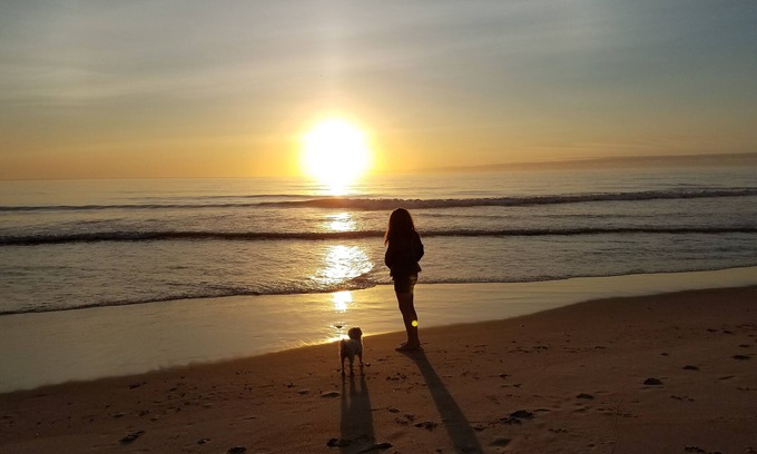Wanchese House | Equine and K9 Friendly lodging in the Outer Banks, NC