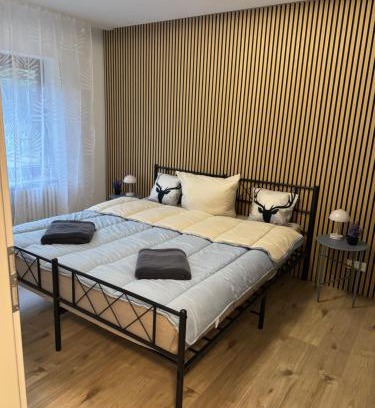 Freudenstadt Apartment | Erdgeschosszauber