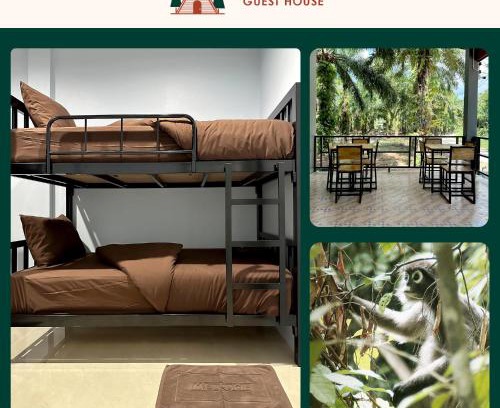 Khlong Sok Bed & Breakfast | Evergreen Guest House