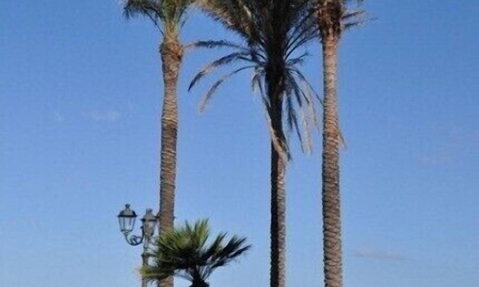 La Pietraia Apartment | Exceptional Ocean Front Penthouse - In Town And Close To Beach