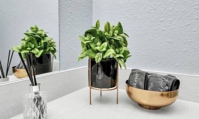 Greenway Plaza-Upper Kirby Apartment | Executive Stay at Kirby Greenway