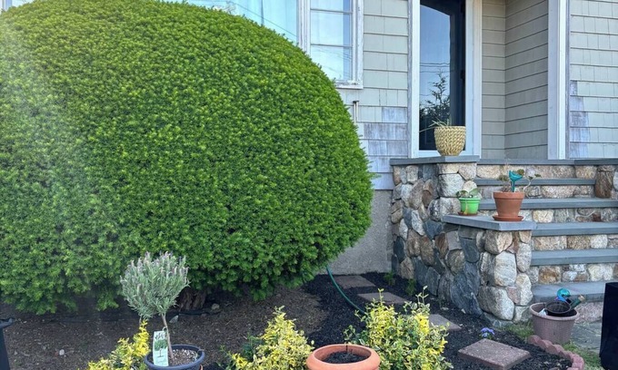 Waltham Apartment | Experience Classic Charm in a Cozy 115-Year-Old Colonial