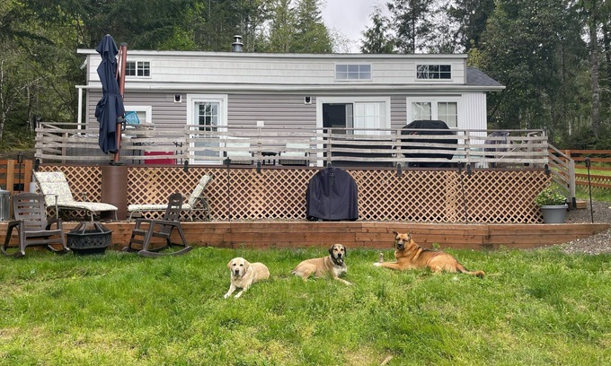 Lilliwaup House | Experience privacy and tranquility in this Tiny Home with amazing views!