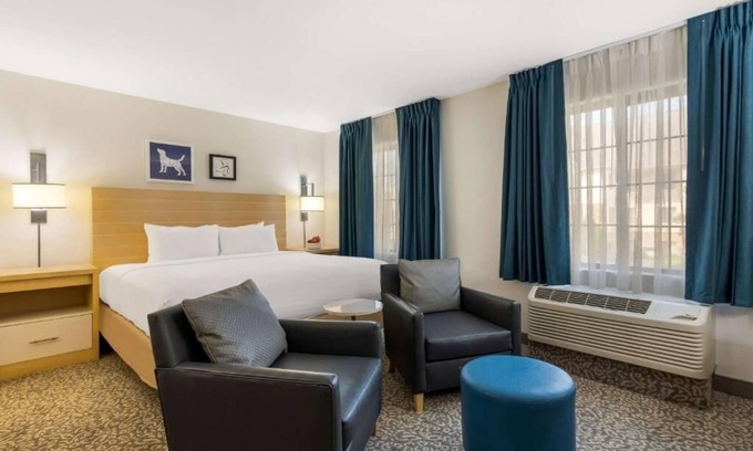 Arrowood Hotel | Explore Local Gems from This Spacious Suite with Swimming Pool In Charlotte