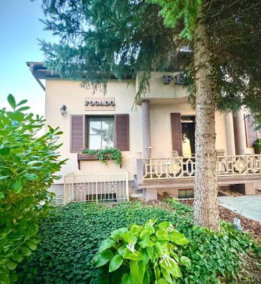 Mosonmagyarovar Bed & Breakfast | Fészek Fogadó - Pension Nest