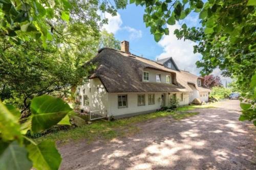 Borgsum Apartment | Föhrzeit - Wohnung 4 Besonderes Apartment mit Garten