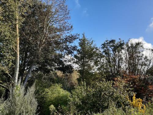 Lampaul-Plouarzel Apartment | F2 Centre Bourg à 10min GR34 et plages