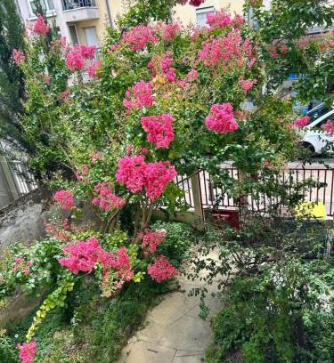 Quartier Centre Ville Apartment | F3 au grenier d'une maison