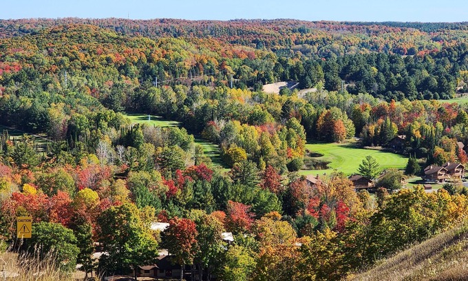Bellaire Condo | Fall colors galore! 2 bedroom, 2 bath condo at Cedar River!
