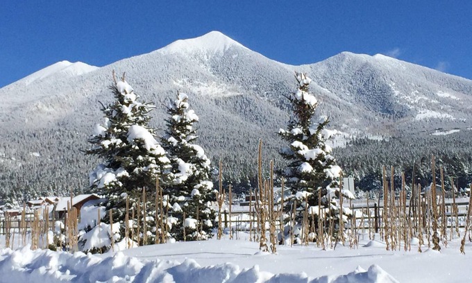 Flagstaff House | Fall is here, the leaves are changing! This weekend is available! Book now!