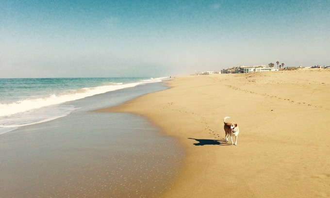 Oxnard Shores House | Family Fun Beach House 30 day minimum rental