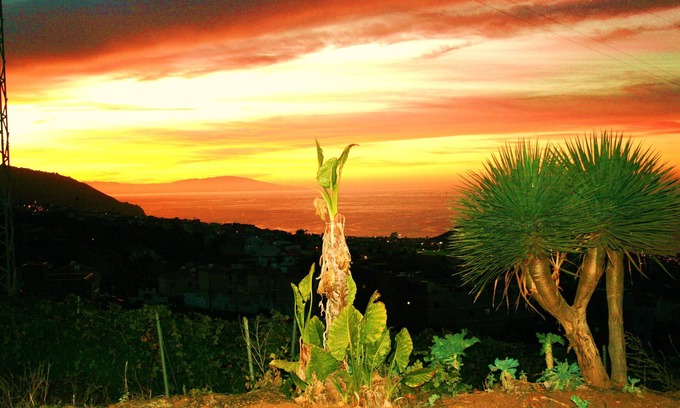 La Orotava House | Fantastic Canarian House surrounded by vineyards - Free WiFi