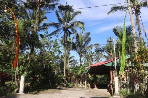 Selemadeg Apartment | Farmstay Eco Villa
