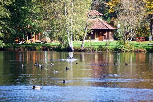 Schontal Apartment | Felsenland-Apartment