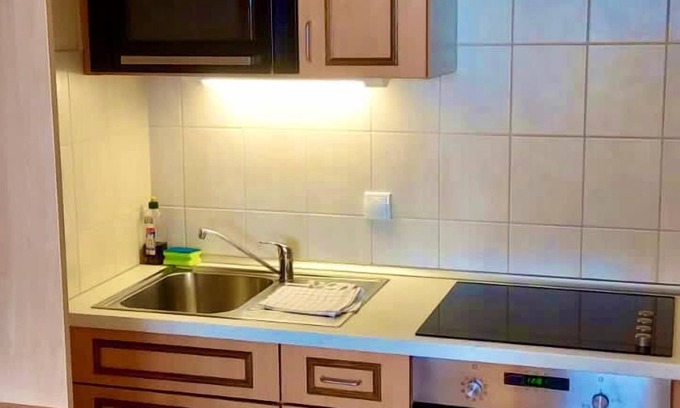 Hohegeiß Hotel | Ferienapartments Panoramic Oberharz