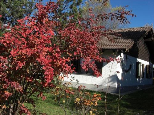 Reichenbach House | Ferienhaus Gamssteige im Feriendorf Reichenbach G32