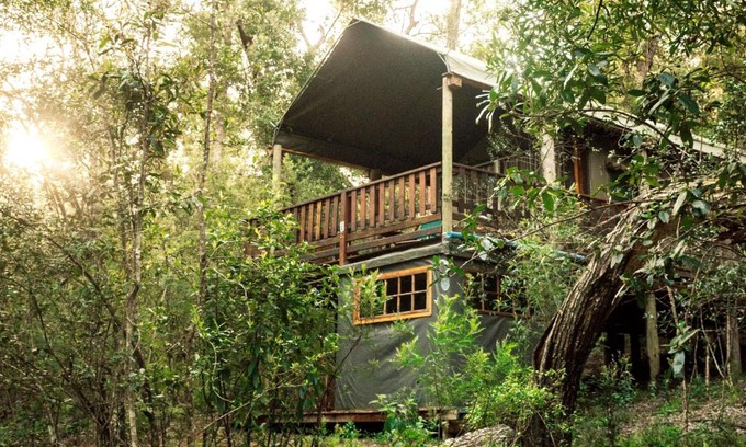Knysna Other | Fernhill Tented Treehouses