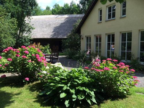 Lehde Apartment | Fewo Schlangenkönig