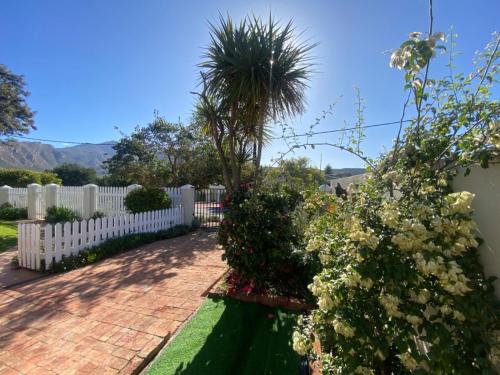 Montagu Apartment | Fig Tree