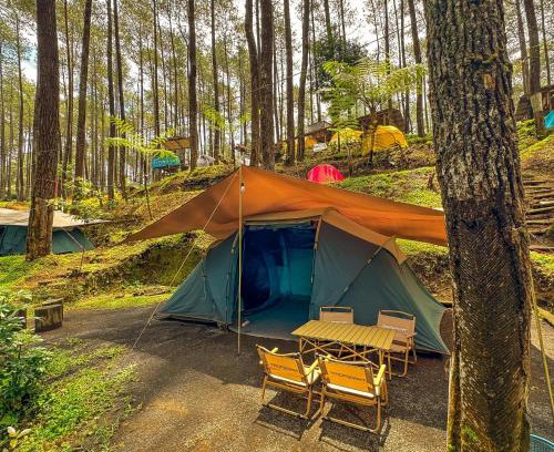 Lembang Other | Finest Camp