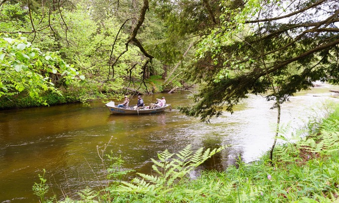 Branch Cabin | Fish & Kayak the Pere Marquette River from this Cozy Cabin on the River Bank