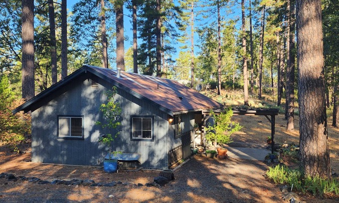 Grass Valley Cabin | Forest Cottage Retreat