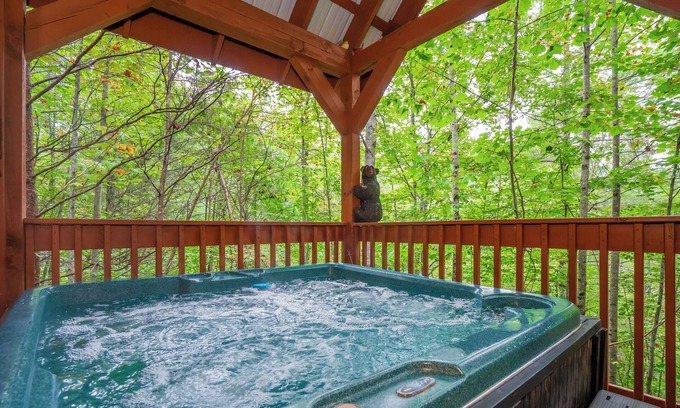 Caton Cabin | Forest View Hideaway: Secluded, Top Amenities, Hot Tub, Game Room, close to all attractions!