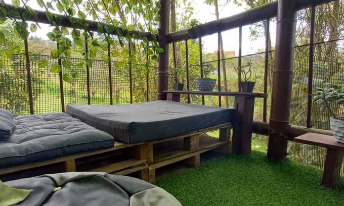 Medellin Apartment | Foresta House: ¡Pet-Friendly, with Forest View Terrace, Kitchen, & Comfort!