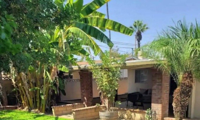 Orange House | FRUIT TREES, BACKYARD, NICE LOCATION, LARGE HOUSE