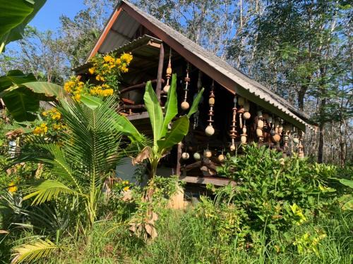 Ranong House | Fruit villa