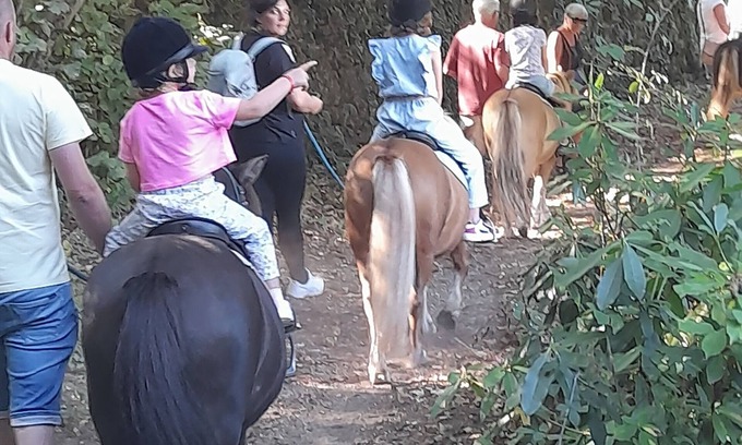 Colognac Other | Gîte at the equestrian farm Les poneys du val d'emeraude