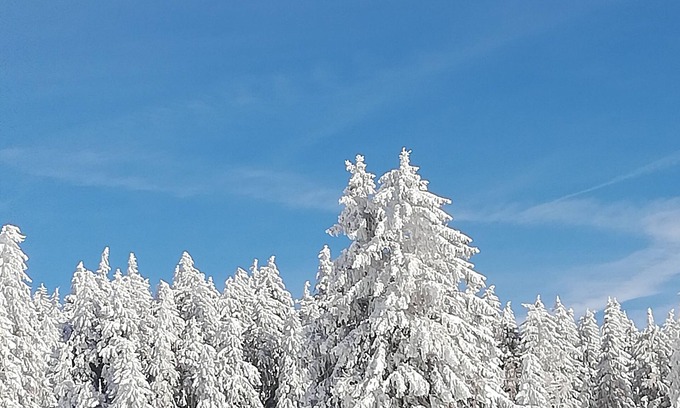 Le Valtin Apartment | Gîte de la Petite Meurthe Jonquille