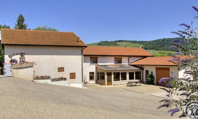 Fleurie House | Gîte du Chais - FLEURIE