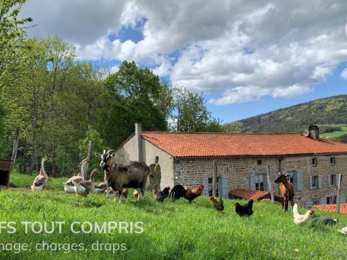 Sauvain House | Gîte historique avec jardin et cheminée près de Sauvain - FR-1-496-315